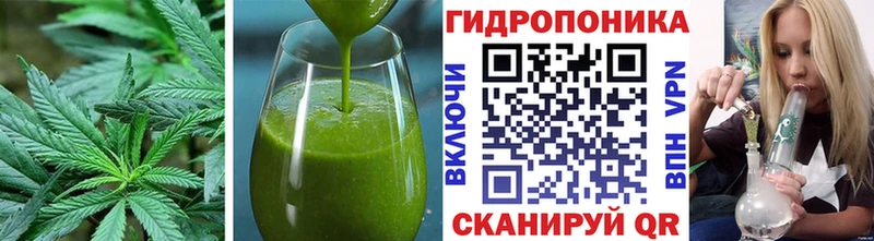 где купить   Юхнов  даркнет состав  Еда ТГК конопля 