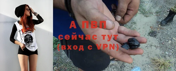 соль ск Алексин