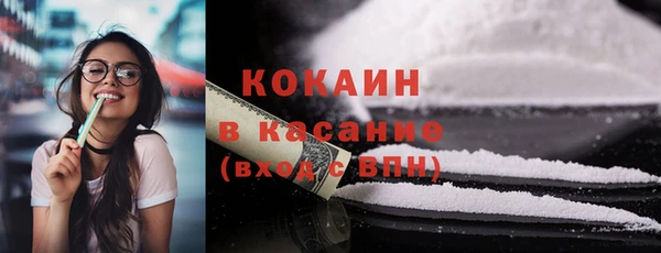 соль ск Алексин