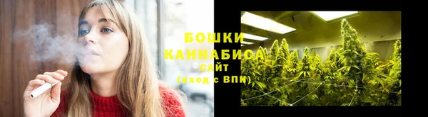 PSILOCYBIN Алексеевка