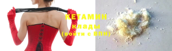 стаф Алзамай