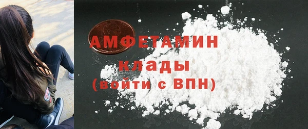 стаф Алзамай