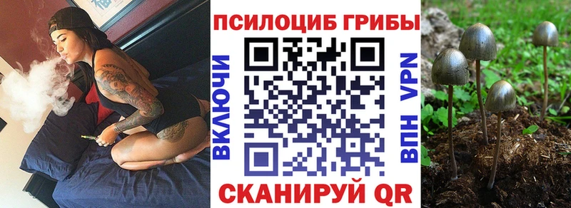 Псилоцибиновые грибы Cubensis Юхнов